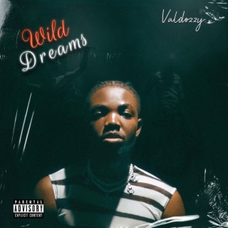 Wild Dreams lyrics | Boomplay Music