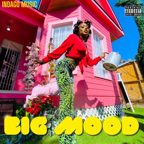 BIG MOOD | Boomplay Music