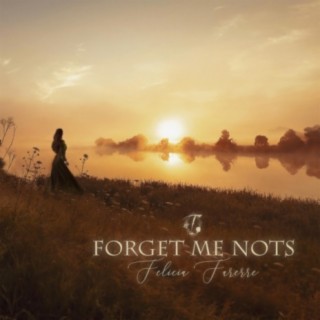 Forget Me Nots