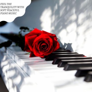 Feel the Tranquility with Soft Peaceful Piano Music