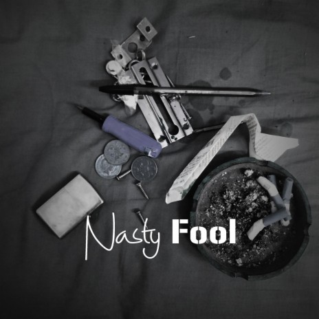 Nasty Fool | Boomplay Music