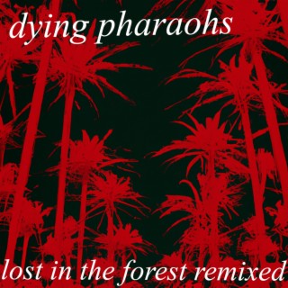 Lost In The Forest Remixed (Remixe)