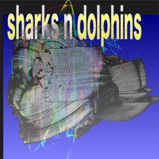sharks n dolphins