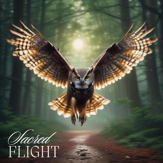 Sacred Flight (A Spirit Animal Journey Calling on the Sacred Wisdom of the Owl)