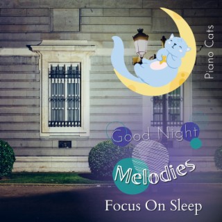 Good Night Melodies - Focus on Sleep
