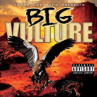 BIG Vulture