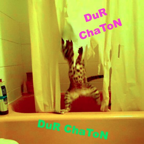 Dur chaton | Boomplay Music