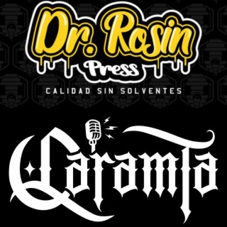 Dr. Rosin lyrics | Boomplay Music