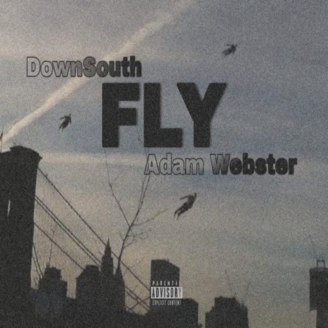 FLY ft. Adam Webster | Boomplay Music