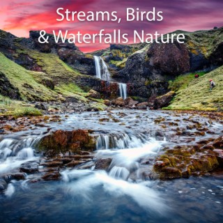 Streams, Birds & Waterfalls Nature