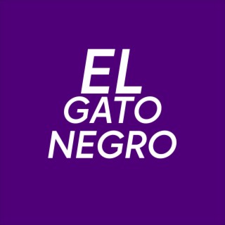 El gato negro