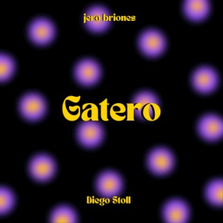 Gatero