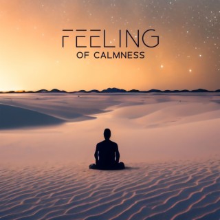 Feeling of Calmness: Control of Your Emotions