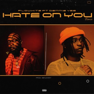 Hate on You (Remix) [feat. Demmie Vee]