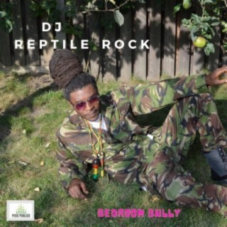 DJ Reptile rock