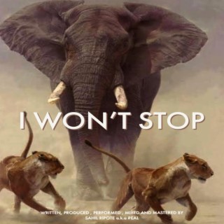 I Won't Stop