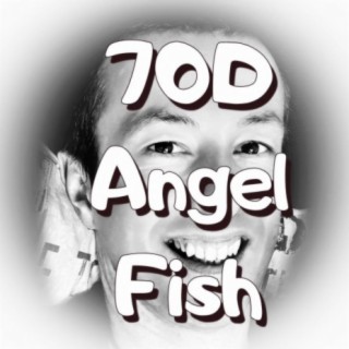 70D Angel Fish