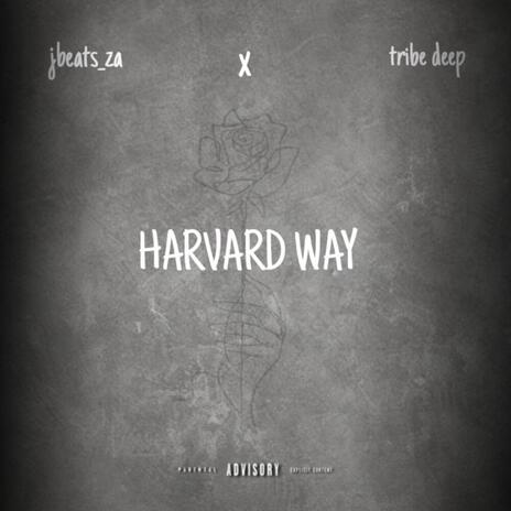 Harvard wayy ft. Tribe MusiQ | Boomplay Music