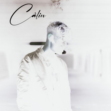 Câlin | Boomplay Music
