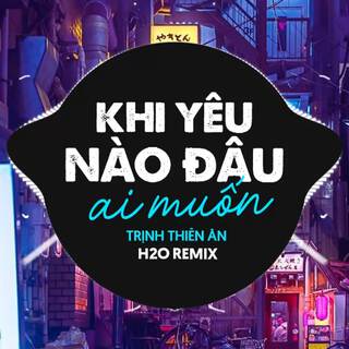 Khi Yêu Nào Đâu Ai Muốn (Remix Vinahouse) ft. Trịnh Thiên Ân lyrics | Boomplay Music