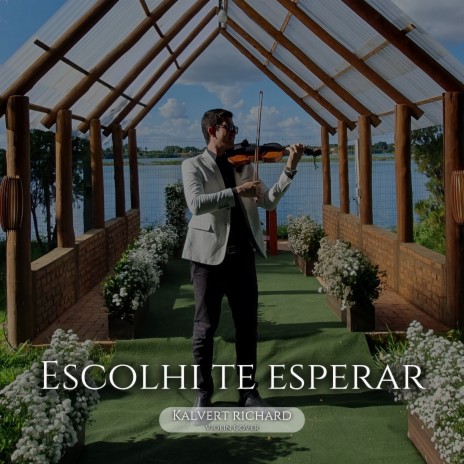 Escolhi Te Esperar (Violin Cover) | Boomplay Music