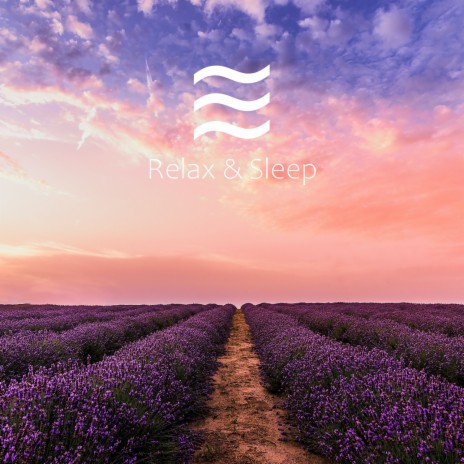 Dreamful Sound of Calming Nature | Boomplay Music