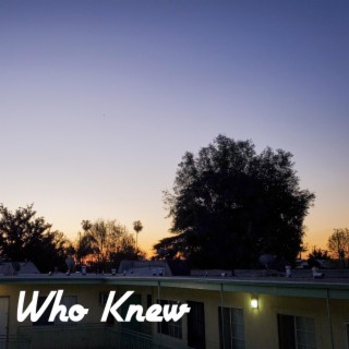 Who Knew lyrics | Boomplay Music