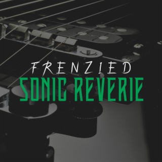 Frenzied Sonic Reverie