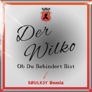 Ob Du Behindert Bist?! (SØULK3Y Remix) ft. Der Wilko lyrics | Boomplay Music