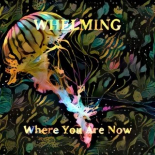 Where You Are Now