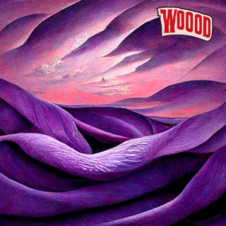 woood lyrics | Boomplay Music