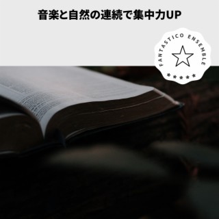 音楽と自然の連続で集中力up