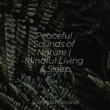 Joyful Resilience ft. Sleep Music Lullabies & Chillout Lounge | Boomplay Music