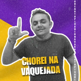 CHOREI NA VAQUEJADA