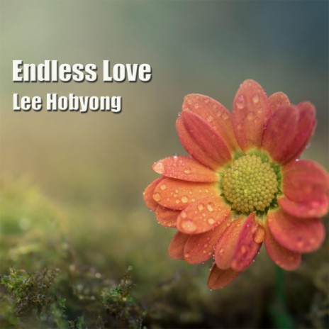 Endless Love(Piano Solo)