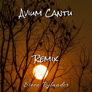 Avium Cantu Remix (Remix)