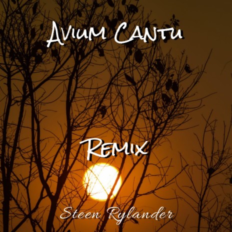 Avium Cantu (Remix)
