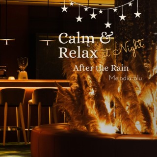 Calm & Relax at Night - After the Rain