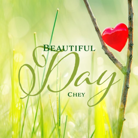 Beautiful Day | Boomplay Music