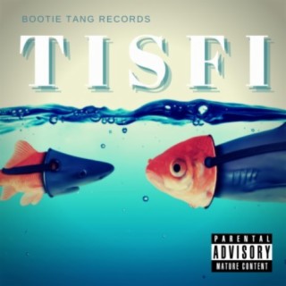 TISFI