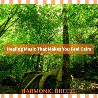 Healing Music That Makes You Feel Calm