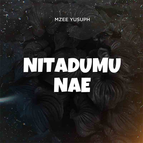 Nitadumu Nae | Boomplay Music