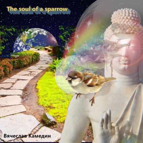 The Soul of a Sparrow | Boomplay Music