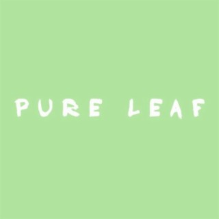 Pure Leaf