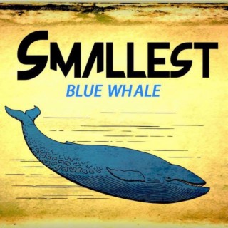 Blue Whale