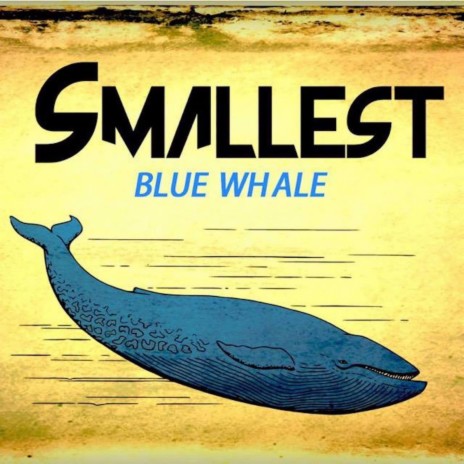 Blue Whale | Boomplay Music