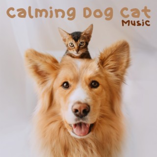 Calming Dog Cat Music: Relaxation and Anxiety Therapy