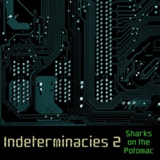 Indeterminacies 2