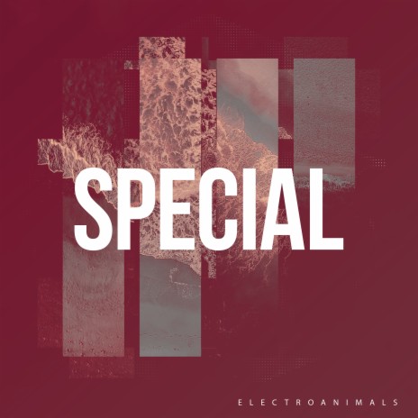 Special | Boomplay Music