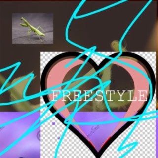 i love insects (freestyle)